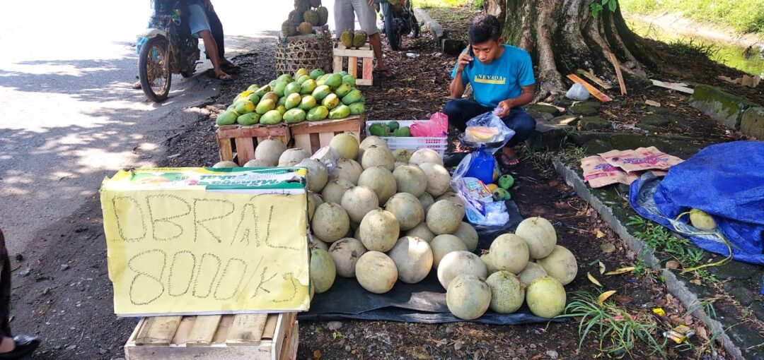 Melon Asal Bangka Diobral 8 Ribu Rupiah Per KG, Ini Alasannya