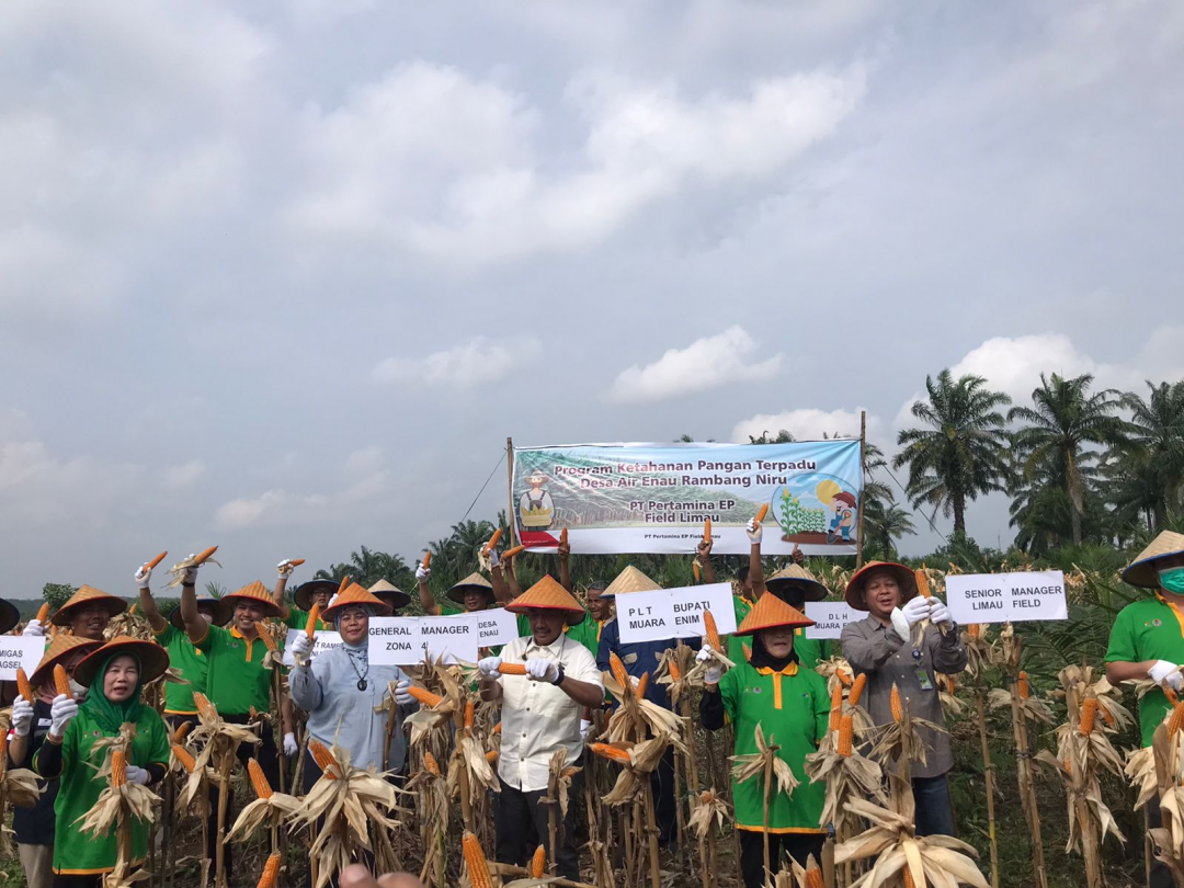 SKK Migas – Pertamina EP Limau Panen Raya Jagung di Muara Enim