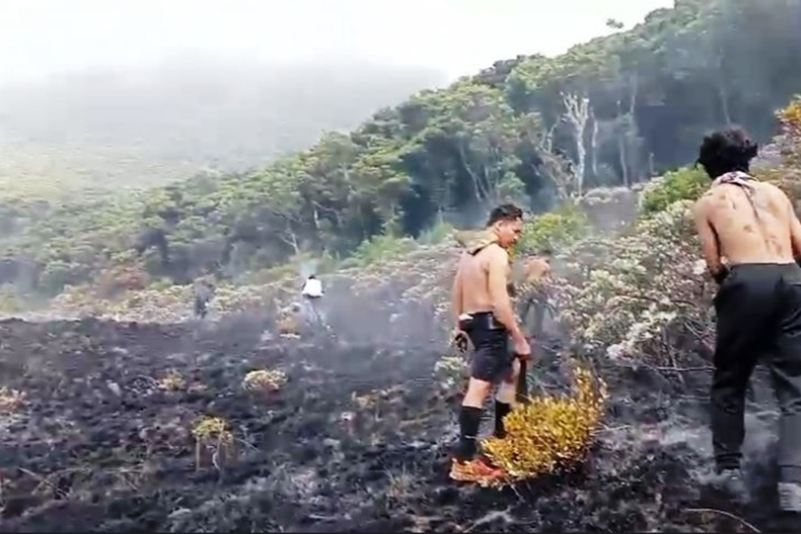 Penyebab Kebakaran Gunung Gede Pangrango Diduga Kuat Disengaja